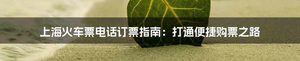 上海火车票电话订票指南:打通便捷购票之路