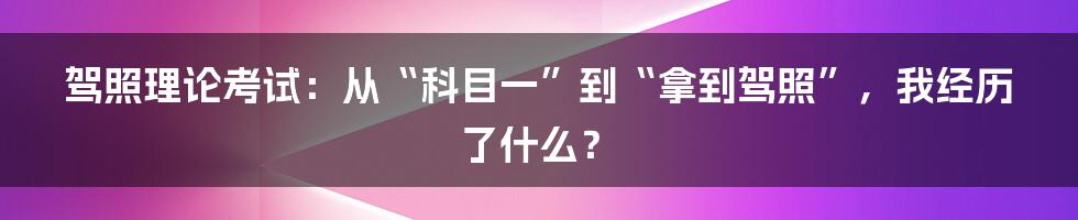 驾照理论考试:从“科目一”到“拿到驾照”,我经历了什么?