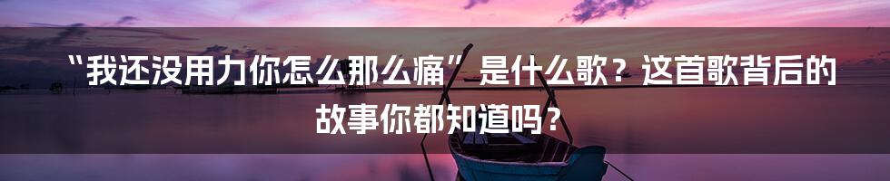 “我还没用力你怎么那么痛”是什么歌?这首歌背后的故事你都知道吗?
