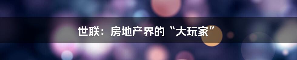 世联:房地产界的“大玩家”