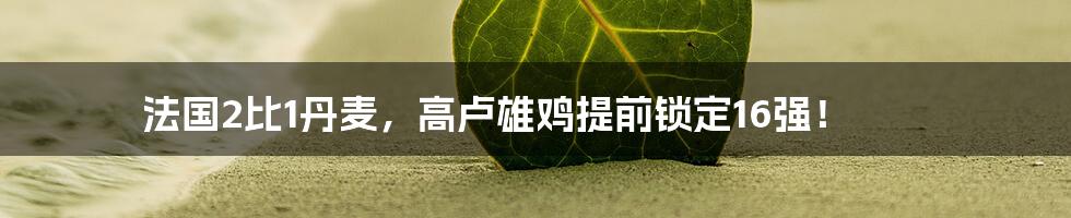法国2比1丹麦,高卢雄鸡提前锁定16强!