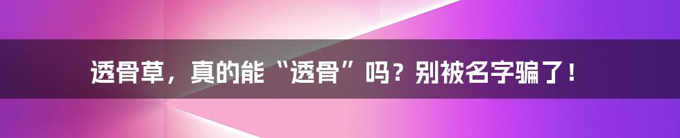 透骨草,真的能“透骨”吗?别被名字骗了!