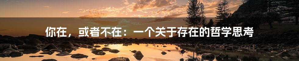 你在,或者不在:一个关于存在的哲学思考