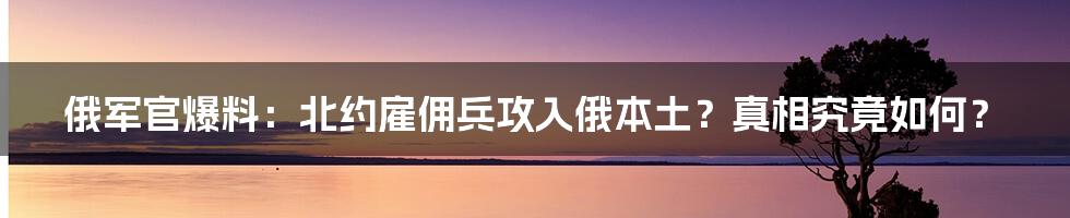 俄军官爆料:北约雇佣兵攻入俄本土?真相究竟如何?