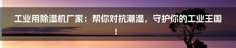 工业用除湿机厂家:帮你对抗潮湿,守护你的工业王国!
