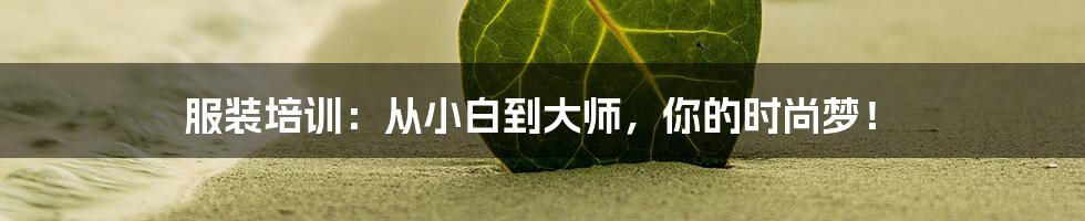 服装培训：从小白到大师，你的时尚梦！