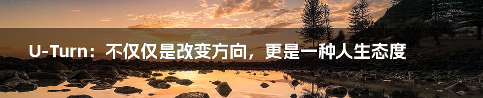U-Turn:不仅仅是改变方向,更是一种人生态度