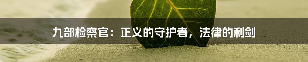 九部检察官:正义的守护者,法律的利剑