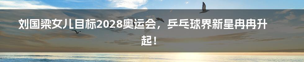刘国梁女儿目标2028奥运会,乒乓球界新星冉冉升起!