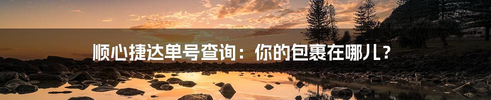 顺心捷达单号查询:你的包裹在哪儿?