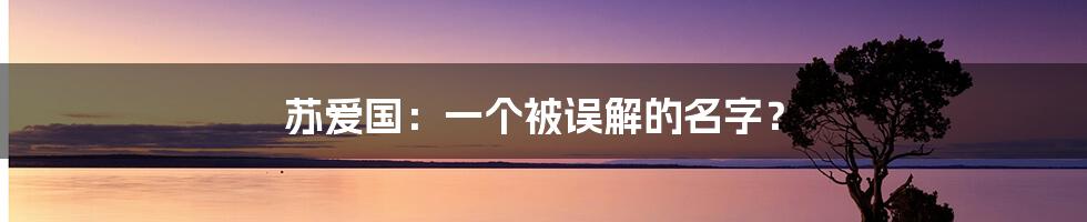 苏爱国:一个被误解的名字?