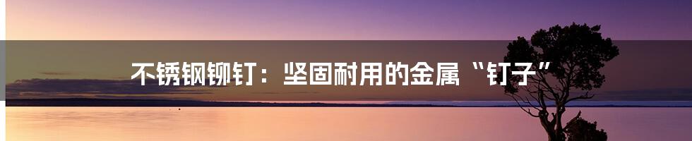 不锈钢铆钉:坚固耐用的金属“钉子”