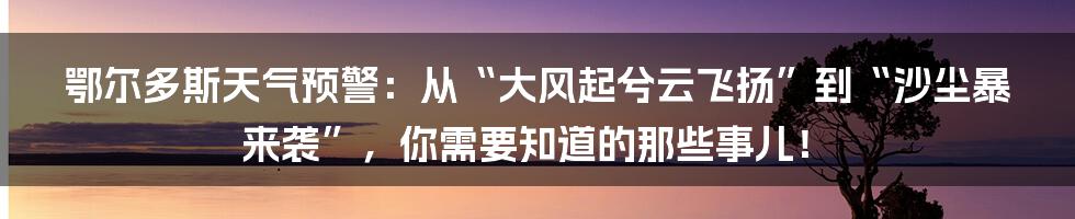 鄂尔多斯天气预警:从“大风起兮云飞扬”到“沙尘暴来袭”,你需要知道的那些事儿!