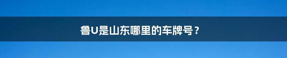 鲁U是山东哪里的车牌号?