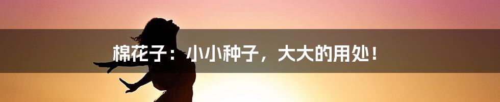 棉花子:小小种子,大大的用处!
