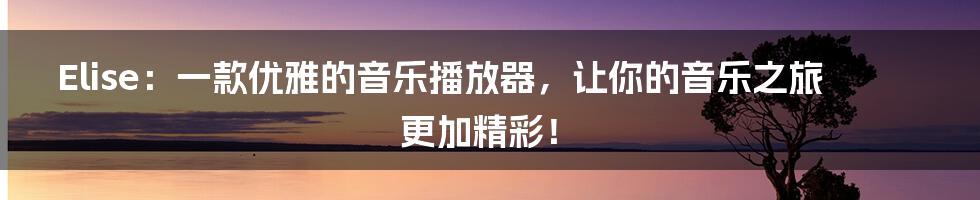 Elise:一款优雅的音乐播放器,让你的音乐之旅更加精彩!