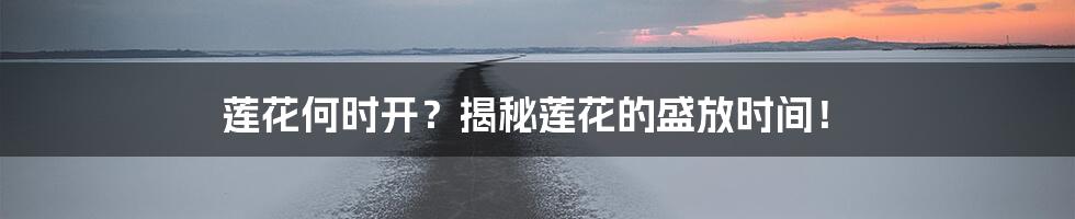 莲花何时开?揭秘莲花的盛放时间!