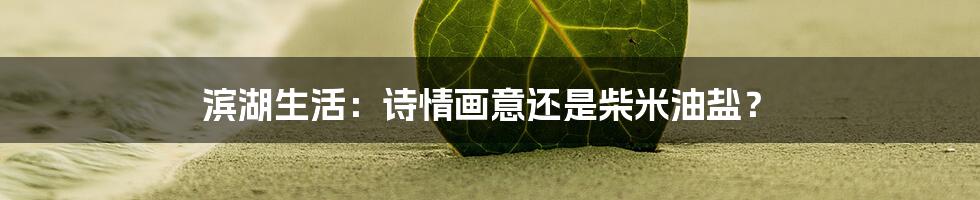 滨湖生活:诗情画意还是柴米油盐?