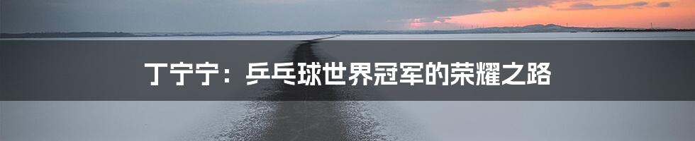 丁宁宁:乒乓球世界冠军的荣耀之路
