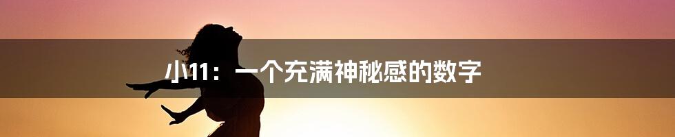 小11：一个充满神秘感的数字