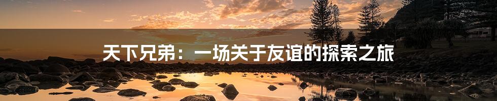 天下兄弟:一场关于友谊的探索之旅