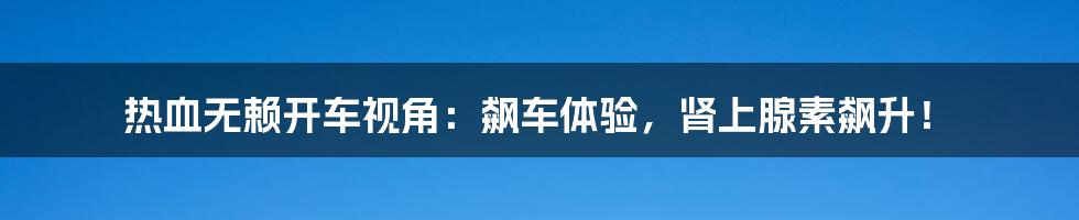 热血无赖开车视角:飙车体验,肾上腺素飙升!