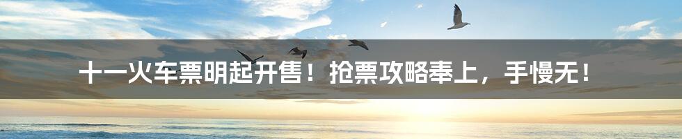 十一火车票明起开售!抢票攻略奉上,手慢无!