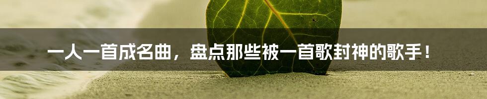一人一首成名曲,盘点那些被一首歌封神的歌手!
