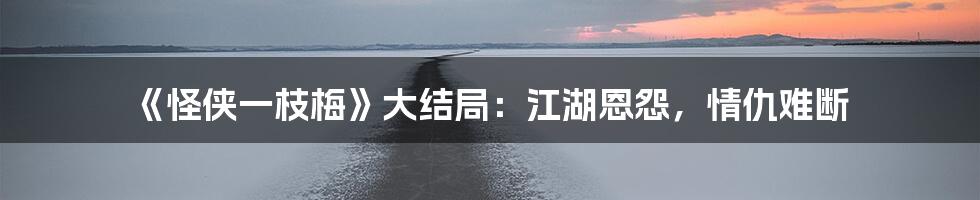 《怪侠一枝梅》大结局:江湖恩怨,情仇难断
