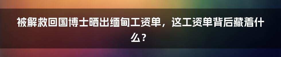 被解救回国博士晒出缅甸工资单,这工资单背后藏着什么?