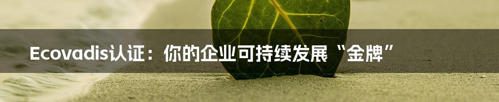 Ecovadis认证:你的企业可持续发展“金牌”