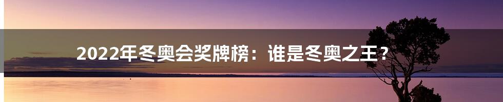 2022年冬奥会奖牌榜：谁是冬奥之王？