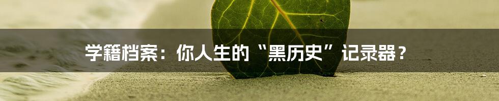 学籍档案:你人生的“黑历史”记录器?