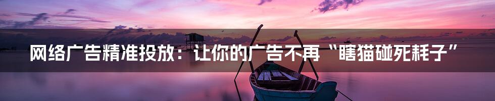 网络广告精准投放:让你的广告不再“瞎猫碰死耗子”