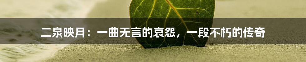 二泉映月:一曲无言的哀怨,一段不朽的传奇
