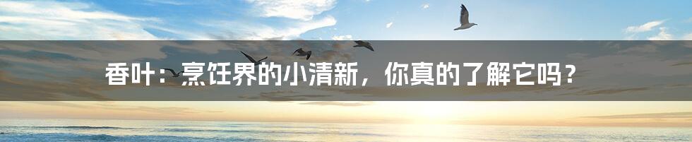 香叶:烹饪界的小清新,你真的了解它吗?
