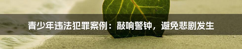青少年违法犯罪案例:敲响警钟,避免悲剧发生