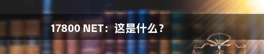 17800 NET:这是什么?