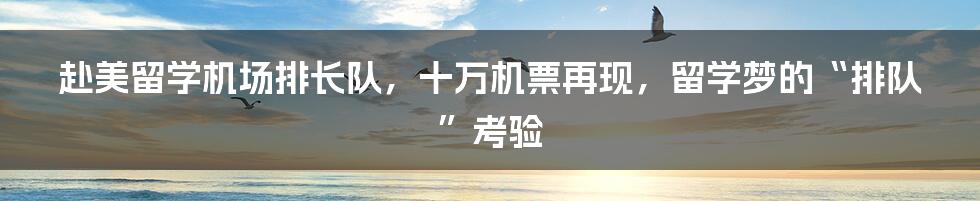 赴美留学机场排长队,十万机票再现,留学梦的“排队”考验