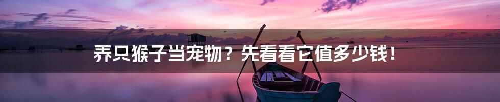 养只猴子当宠物?先看看它值多少钱!