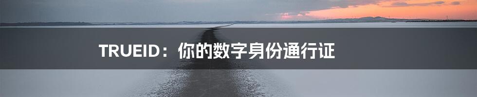TRUEID:你的数字身份通行证