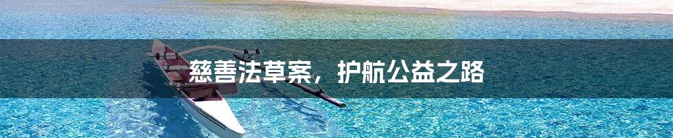 慈善法草案,护航公益之路
