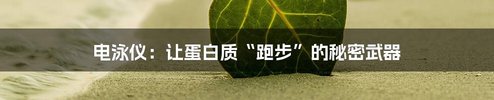 电泳仪:让蛋白质“跑步”的秘密武器
