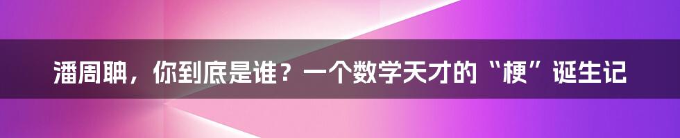 潘周聃,你到底是谁?一个数学天才的“梗”诞生记