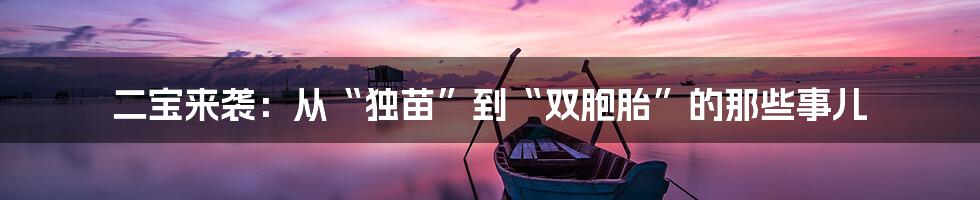 二宝来袭:从“独苗”到“双胞胎”的那些事儿