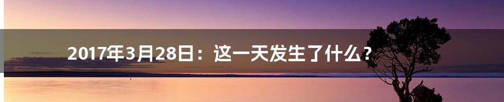 2017年3月28日:这一天发生了什么?