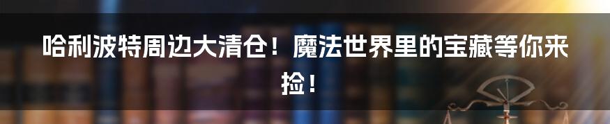 哈利波特周边大清仓!魔法世界里的宝藏等你来捡!