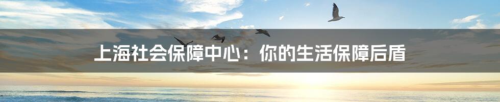 上海社会保障中心:你的生活保障后盾