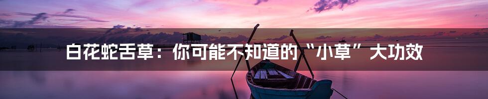 白花蛇舌草:你可能不知道的“小草”大功效