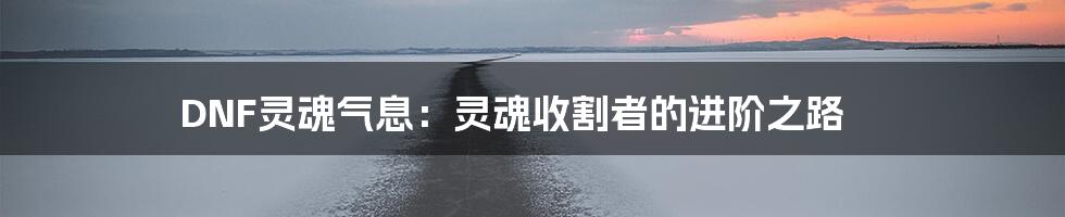 DNF灵魂气息:灵魂收割者的进阶之路